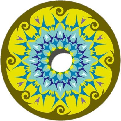 Decorative Spoke Guards (2761) (Pair)