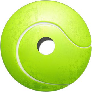 Decorative Spoke Guards (4117) (Pair)