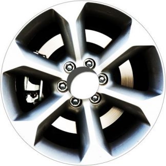 Decorative Spoke Guards (612B) (Pair)